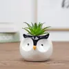 Vaso de Cerâmica Fofo e Fashion com Pintura à Mão de Planta Suculenta Verde Decoração de Casa Estilo Pastoral Simples Nórdico Ornamentos
