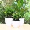 Vasos de Flores Plásticos Espessados Autoirrigáveis para Plantas de Interior, Armazenamento de Água Autoabsorvente para Prevenir o Apodrecimento das Raízes, Venda por Atacado do Fabricante