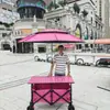 Carrito de puesto móvil con tablero grande, altura ajustable, plegable, carrito portátil para snacks al aire libre, carrito de camping, carrito empujado a mano