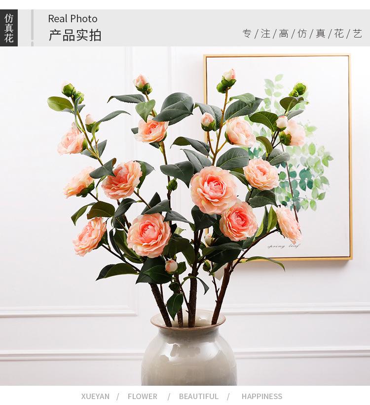 单支茶花_06.jpg