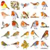 50 Pegatinas de Petirrojo Animales de Dibujos Animados Petirrojos Petirrojos Euroasiáticos Pájaro Impermeables Decorativas para Teléfono Móvil Termos Pegatinas