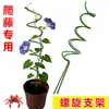 Suporte de Flores Suporte para Trepadeiras Suporte para Flores Clematis Rosa Suporte Fixo para Plantas de Trepar em Vasos Suporte de Haste para Flores de Interior