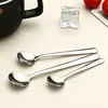 Nova Mini Colher Redonda de Aço Inoxidável 304 Colher de Sal 9cm Colher de Tempero Doméstica Cabo Durável Colher Medidora de Pó Medicinal