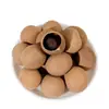 Longan Seco, Longan con y sin Hueso, Pulpa de Longan Seca, Al Por Mayor, Sin Fumigación con Azufre, Sin Colorantes, Sin Aditivos, Envío Gratis, Dropshipping
