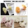 Estames de malte pistilos bastões retorcidos materiais feitos à mão fondant gesso flor de lótus flor de veludo flores embrulhadas centros de flores amarelas
