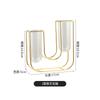 Arreglo Floral de Vidrio Artístico de Hierro Florero de Plástico Hidropónico Galvanizado Adornos Decorativos para Mesa de Comedor Escritorio Sala de Estar Flores Secas Carta Cultivo Hidropónico