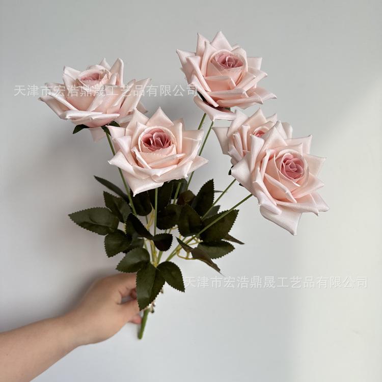 微信图片_2023030817574210_副本