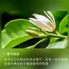 Aceite Esencial de Hoja de Magnolia Zona de Producción China Aceite Esencial Aceite Esencial de Aromaterapia Aceite Esencial para Masaje Materia Prima Venta al por Mayor Uso de Muestreo Industrial