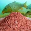 El cebo de pesca con fragancia a pescado real de tierra para bagre negro, pesca salvaje en poza, carpa cruciana, cebo de otoño e invierno, se puede frotar y tirar.