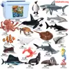 Modelos Realistas de Animales Marinos Transfronterizos: Tiburón Azul, Megalodón, Tiburón Ballena Gris, Tiburón Blanco, Tiburones Martillo Juguetes