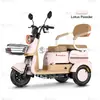 Triciclo Elétrico de Lazer Fresco e Estiloso, E-Trike de Exportação Transfronteiriça, Fornecimento Direto da Fábrica de Origem com Customização Oem/Odm