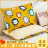 Fronha de Verão Ice Doudou Infantil 30*50 Fronha de Algodão com Zíper para Bebê, Jardim de Infância, Estudante 40*60cm