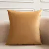 Cojín Decorativo de Terciopelo Cojín Grande para Respaldo de Sofá Oficina Habitación Hogar Mesita de Noche Funda de Cojín Cuadrada Fabricante Hecho a Medida