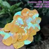 Escama de Dragón Sirena Iridiscente Concha Grande 40mm Lentejuelas Plegadas DIY Siete Colores Deslumbrante Escama de Pez Forma de Abanico Cuentas