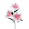 3 Flores de Lirio Simulación 3D Pequeño Libro Rojo Mismo recomendar Boda Decoración de Boda Flor Ventana Fotografía Paisaje