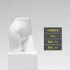 Accesorios de modelo de lencería plataforma de medio cuerpo para mujer push up sujetador ropa pleural de hombre expositor de tienda de ropa cuerpo completo