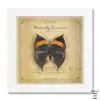 Espécime de Borboleta Real Pintura Decorativa Pingente de Mesa de Madeira Enfeites para Casa Estilo Nórdico Feito à Mão DIY Itens para Presente de Aniversário