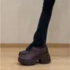 Mocassins Plataforma Retro Salto Bloco Grosso 2026 Outono e Inverno Novo Estilo Versátil Fashionable Slip-On de Corte Profundo