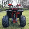 Novo Veículo de Praia ATV 110cc 125cc Veículo Off-Road de Quatro Rodas Motocicleta Veículo Todo-o-Terreno ATV Exportável