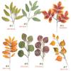 Aliexpress Mais Vendido Folha de Bordo de Outono Simulada Acessórios para Guirlanda de Natal DIY Feita à Mão Decoração Acessórios de Decoração Floral