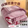 Manta de Raschel Engrosada Manta de Terciopelo de Leche Antiestática Manta con Forro de Lana Engrosada Caliente de Invierno Sábanas de Cama Individual para Dormitorio de Estudiantes