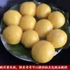 Pastel de Harina de Mijo Amarillo de Shanxi, Pastel Frito, Bollo de Frijol Pegajoso del Noreste, Harina de Mijo Amarillo por Libra, Molido Fresco por Agricultores, Especialidad de la Granja