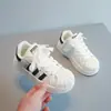 Zapatos de Lona con Cabeza de Concha para Niños 2026 Otoño Nuevos Transpirables Zapatos para Niñas Zapatos Deportivos para Niños Estilo Primavera y Otoño Zapatos Blancos Pequeños