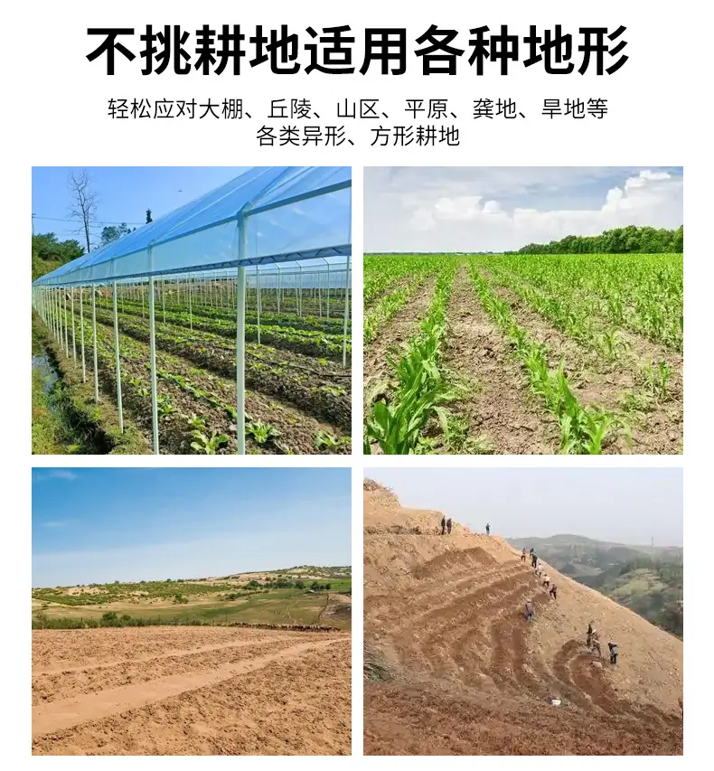 未标题-1_11.jpg