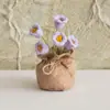 Bolsa de la Suerte Tejida a Crochet Hecha a Mano Transfronteriza Plantas Pequeñas en Maceta Muebles para el Hogar Decoración de Rosa Tejida de Lana Plantas en Maceta Flor Simulada