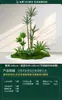 Plantas Verdes Simuladas, Paisajismo Interior a Gran Escala, Combinaciones de Paisajismo Exterior, Decoraciones de Exhibición para Ventanas de Lujo Ligero de Alta Gama, Plantas Artificiales en Maceta de Pie