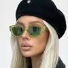 Gafas de Sol Rectangulares Retro de Marco Pequeño Raine para Hombres y Mujeres, Estilo Europeo y Americano, Esenciales Simples para Fotografía Callejera, Elegantes Gafas de Sol para Proteger del Sol
