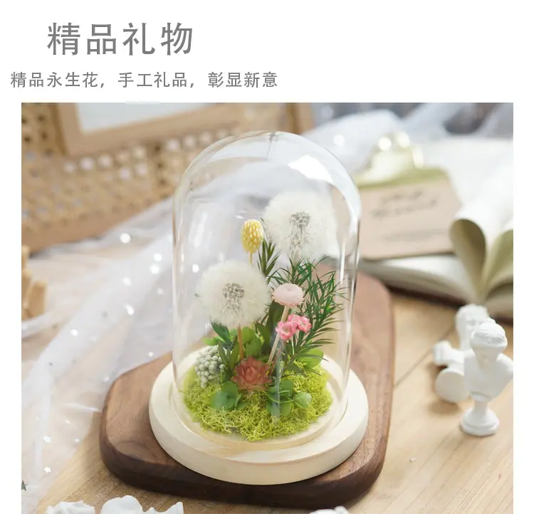 永生花蒲公英