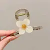 Presilha de Cabelo com Toque de Luxo, Presilha de Garra Colorida Dopamina para Mulheres, Novo Estilo Verão 2026, Presilha Grande de Tubarão para a Parte de Trás da Cabeça, Lindo Acessório de Cabelo