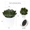 Planta artificial de plástico en maceta mini transfronteriza personalizada, adornos de escritorio, suculentas verdes, bonsái de simulación, combinación libre