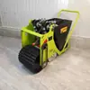 Novo Tipo de Semeador de Alho, Máquina de Plantio de Alho Empurrada Manualmente, Máquina de Plantio Manual Empurrada à Mão, 1-2 Fileiras Opcionais