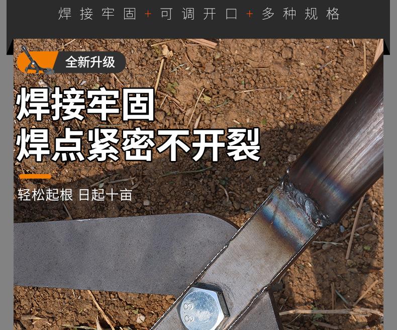 详情_05.jpg