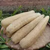 Esponja de lufa seca natural para lavar platos, estropajo, artefacto de limpieza de ollas, tira entera con piel, esponja de lufa vieja para limpiar ollas, lavar platos