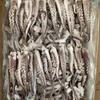 Tentáculos de Lulas Congelados no Atacado para Churrasco, Qualidade Comercial, Pequeno Fruto do Mar para Hot Pot, Churrasco, Espetinhos Picantes