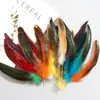 Plumas de Cola de Gallo de Colores 15-20 Manualidades DIY Tocado Indio Performance Juguete para Gato Plumas de Volante