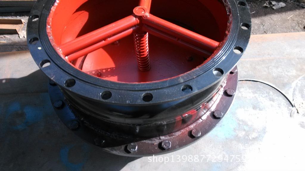 DN450底阀3