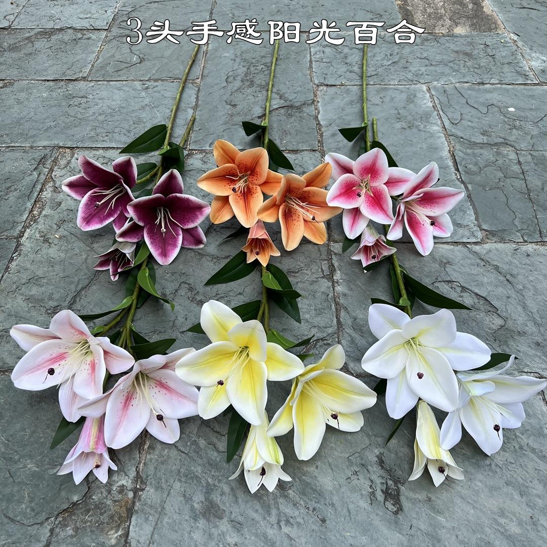 微信图片_20220605143024.jpg