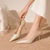 Zapatos de Abrigo de Moda y Versátiles con Tacones Finos para Combinar con Faldas, Zapatos de Tacón Alto para Mujer, Nuevo Modelo 2025, Color Champaña, Zapatos Elegantes de Estilo Femenino para Mujer