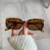 Gafas de Sol Qianai 2026 Nuevas de Marco Pequeño para Mujer, Gafas de Sol de Moda Personalidad Estilo Coreano, Gafas de Sol Retro Estilo Calle Ins