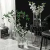 Jarrón Grande Recto de Vidrio Transparente, Estilo Minimalista de Gama Alta, Venta al por Mayor de Lujo Ligero, Decoración Hidropónica de Flores de Pie para Sala de Estar