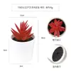 Más de 100 Tipos de Combinaciones de Plantas Suculentas Mini de Plástico Simuladas en Maceta, Mini Bonsáis Suculentos Más Vendidos Transfronterizos, Decoración para el Hogar, Adornos Creativos