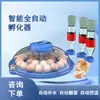 Incubadora Inteligente Totalmente Automática Incubadora de Huevos de Pollo Incubadora Pequeña para Uso Doméstico de Aves de Corral Incubadora Pollo Pato Ganso Codorniz