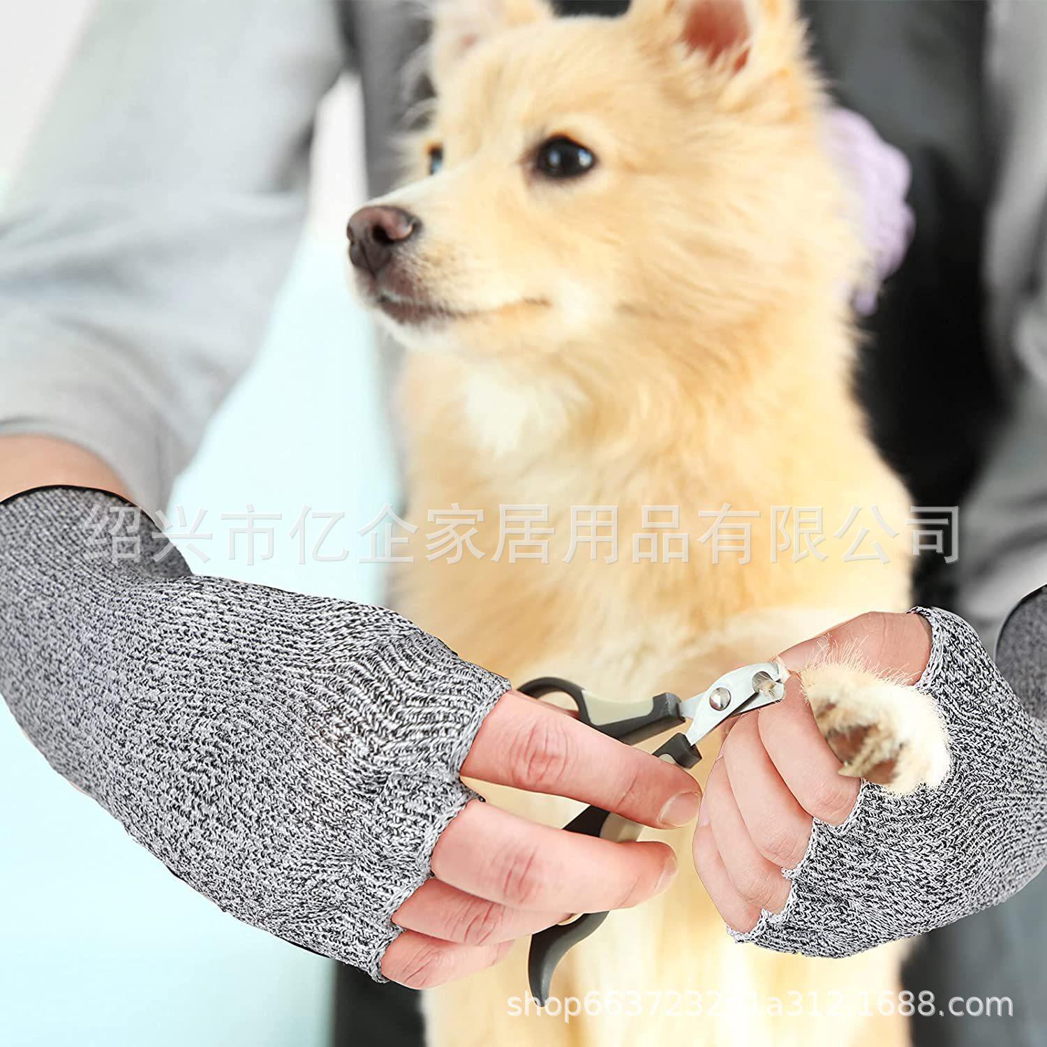 IMG_3542(20221201-184643)