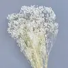 Arranjo de Flores para Decoração de Casa, Estilo Fresco e Natural, Flores Preservadas, Buquê Sonhador de Gipsofila Estrelada Atacado