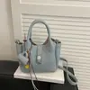 Bolso de Cubo de Lujo de Gama Alta de Nicho Nuevo para Verano 2025 con un Diseño Elegante y Versátil para el Uso Diario, Se Puede Usar como Bolso de Hombro o Cruzado