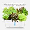 Máquina de cultivo interior sin suelo para uso doméstico, luz LED de espectro completo para el crecimiento de plantas, máquina de cultivo hidropónico inteligente, máquina para el cultivo de hortalizas.